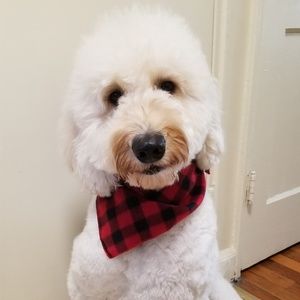 Meet your Posher, Tien